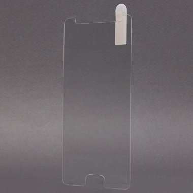 Защитное стекло для Samsung Z4 (Z400) — 2